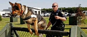 New K9 Training Facility Opened at Willow Lake